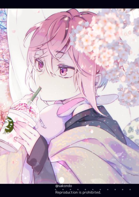 🌸🌸🌸 