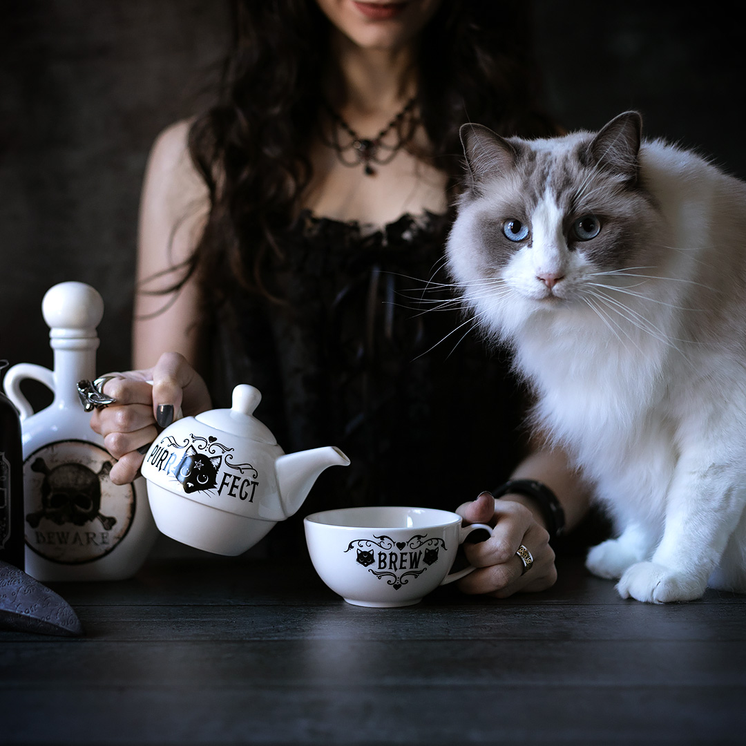 empukofficial's tweet photo. Lover of cat's and tea? π½βοΈ Then this tea set for one is purrr-fect for you! Find it along with our huge #AlchemyEngland collection here: https://t.co/Kzq4LzIrn6 https://t.co/Yq0jIUrFhq