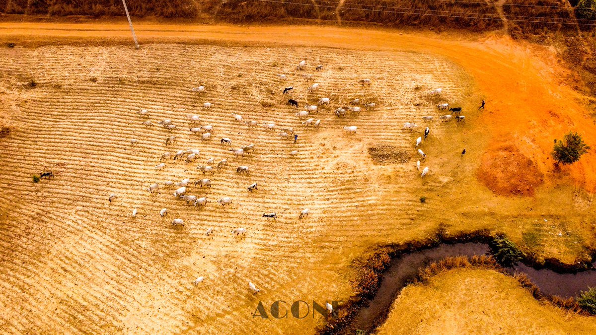 Agone_World_'s tweet photo. On prend de la hauteur sur la ville de…
Vous pensez à quelle ville vous?
.
.
.
.
.
.
.
.
.
.
.
.
.
.
.
#bovins #transumence #visitbenin #beninvies #republiquedubenin #drone #dronephotography #dronesetc #dronelife #dronemaster #africa #visitafrica https://t.co/QESasXPAdE