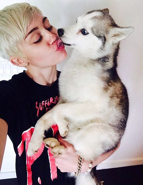 cyrusweadore's tweet photo. Six years since we lost this angel , he would be so proud #ATTENTION #INeedAttention #ripfloydcyrus https://t.co/z4lOpsPJ0b