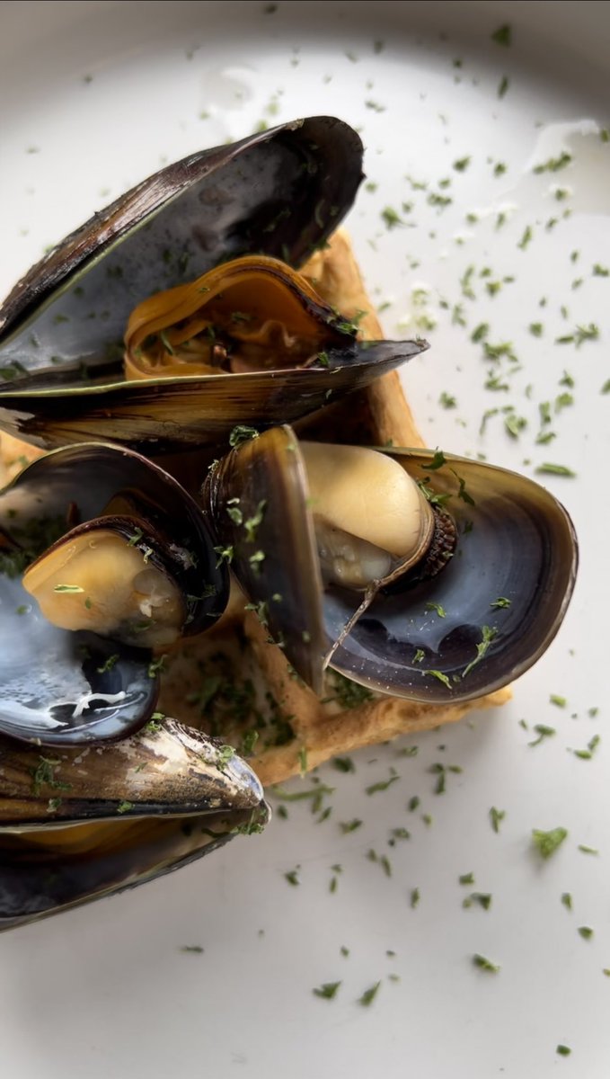 den_anker's tweet photo. It had to happen!
Muffels - the combination of two Belgian Classics - Mussels and Waffles
#DenAnker #Mussels #Waffles #Muffels https://t.co/E4HQEVfEVp