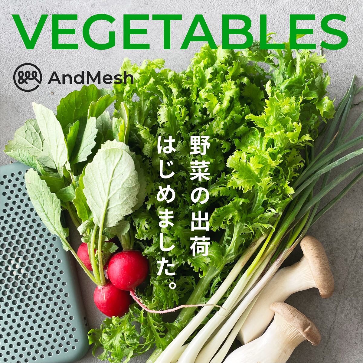 AndMesh_Japan's tweet photo. 野菜の出荷はじめました。

https://t.co/mn4ohS7Zix https://t.co/xmn2FrpqyU