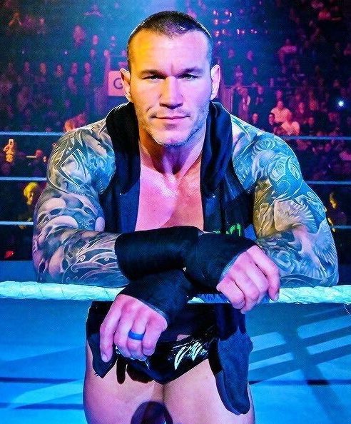 Randy Orton Happy Birthday More tips about how to edit photo like this: 