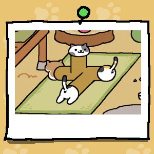 #ねこあつめ 