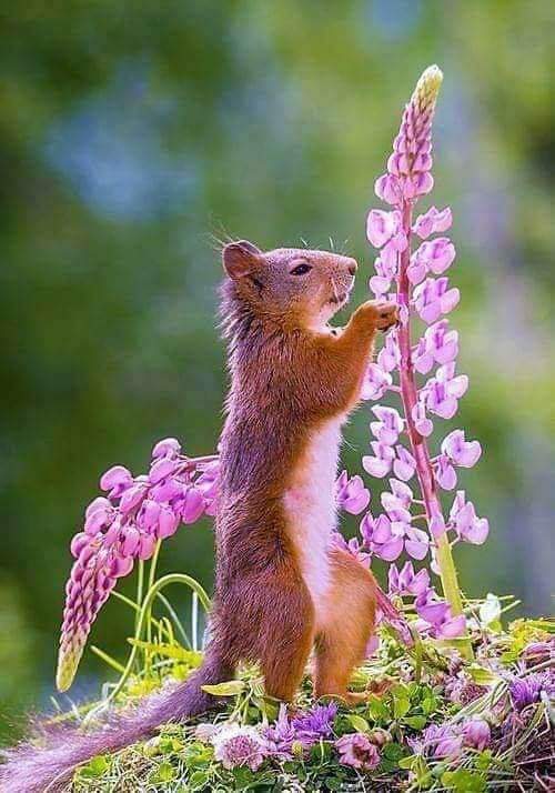 Sabine2577's tweet photo. L'amour, c'est la vie. Si tu aimes pas, tu ne vis pas.

Leo Buscaglia https://t.co/pq5hFFjF5I