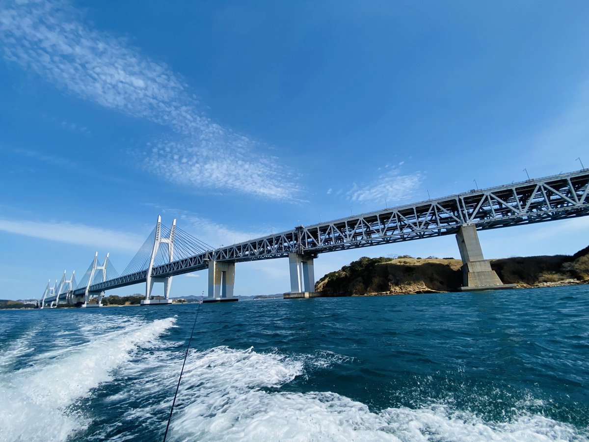 大人気 乾山 乾山写 竜田川 4客 【公式通販】