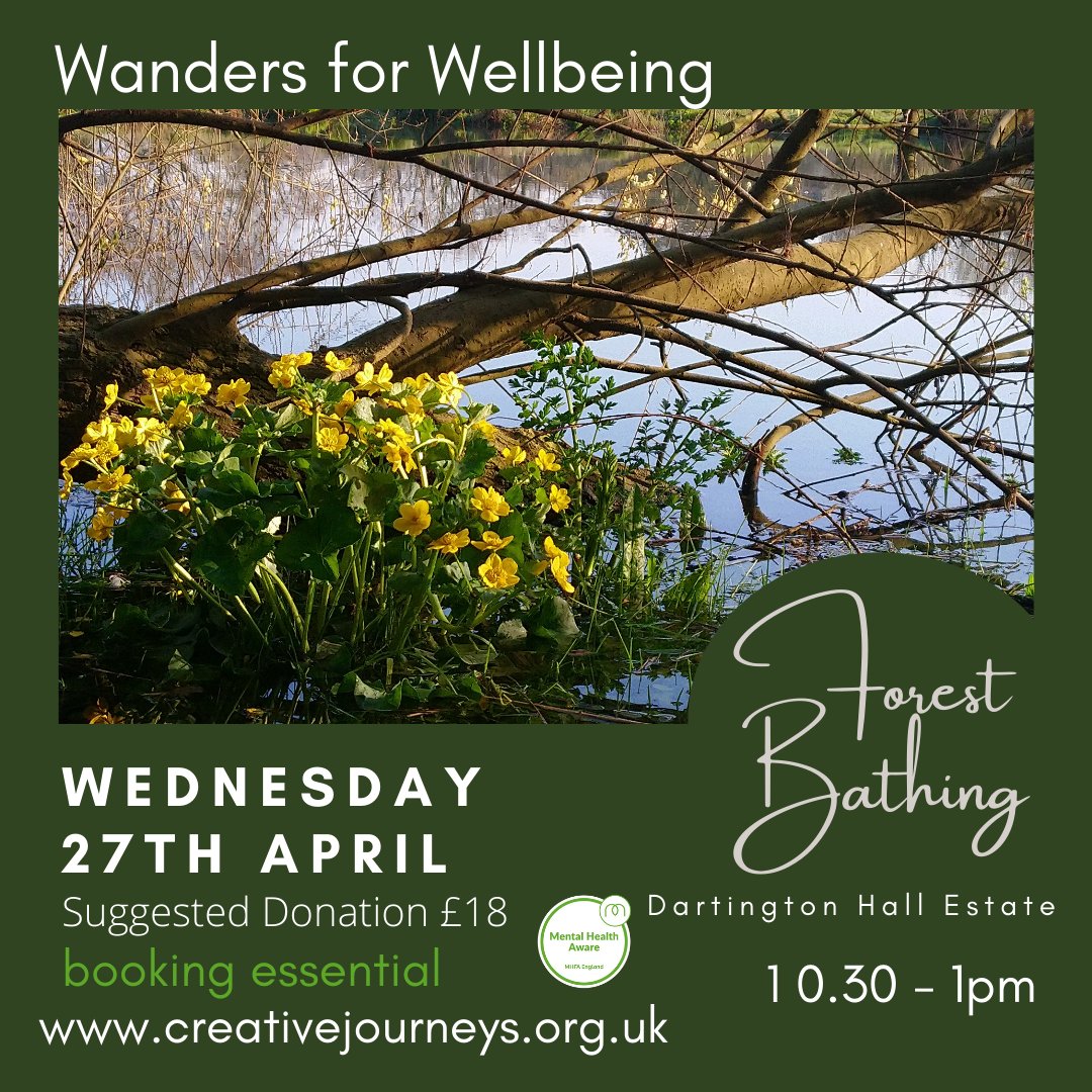 creative journeys tweet media