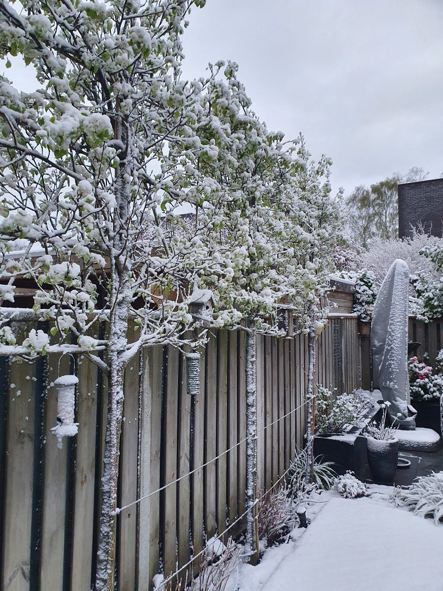 Een witte wereld. 01 april 22, heerlijk fris en prachtige plaatjes