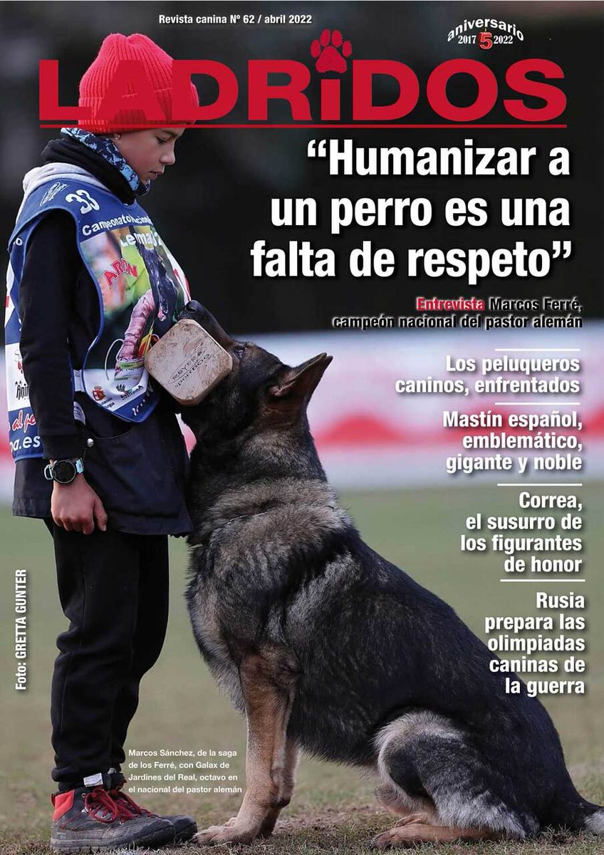 RevistaLADRIDOS's tweet photo. Los peluqueros caninos viven enfrentamientos en el sector.  Amamos a los perros de raza. ¿Puede ser un perro vegano? . Ferré, campeón del pastor alemán: “humanizar a un perro es una falta de respeto”... no te pierdas la nueva revista de LADRIDOS https://t.co/QQ8yREZhF0 https://t.co/xGNRyb8pWv