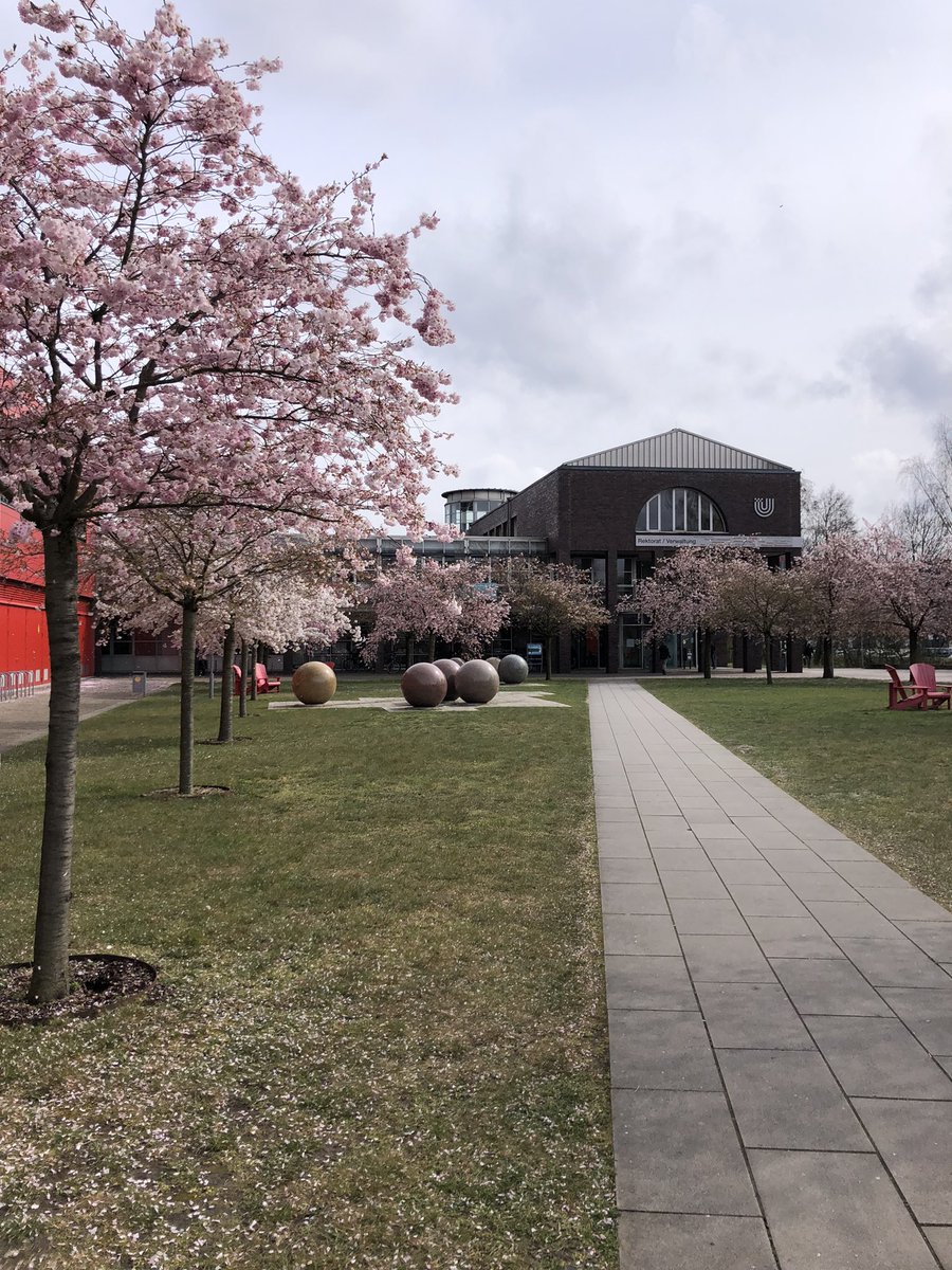 VollSvea's tweet photo. Yesterday I signed my first work contract @UniBremen - today I’m starting to work with great people! I am so excited 🌸 https://t.co/mLQ7IbvR7J