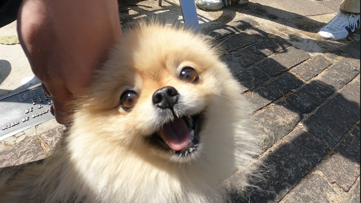 So nice outside ❤️