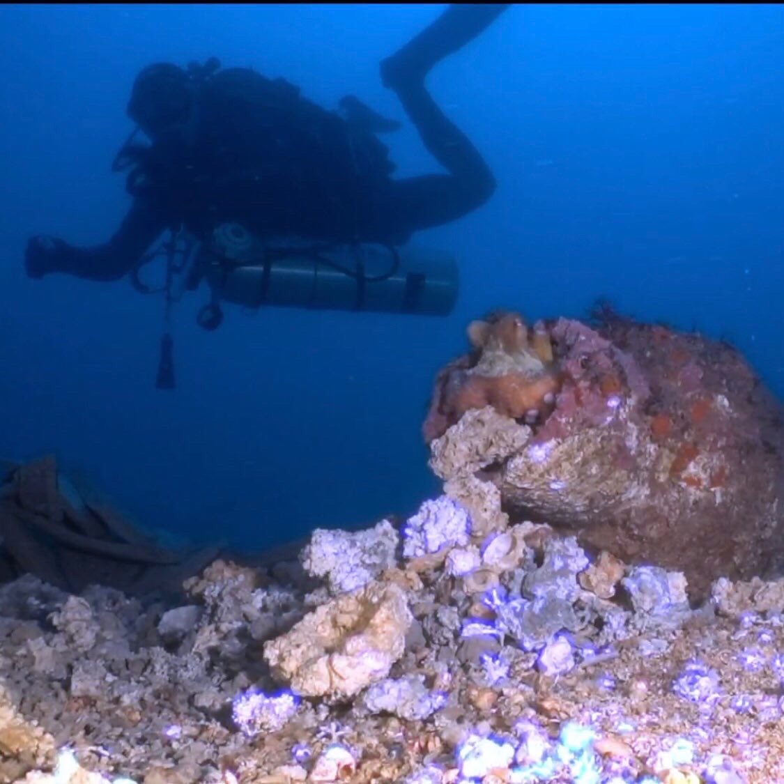 @aton.sd tweet media