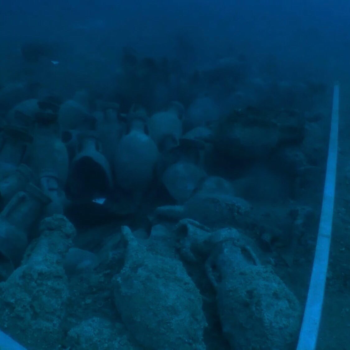 @aton.sd tweet media