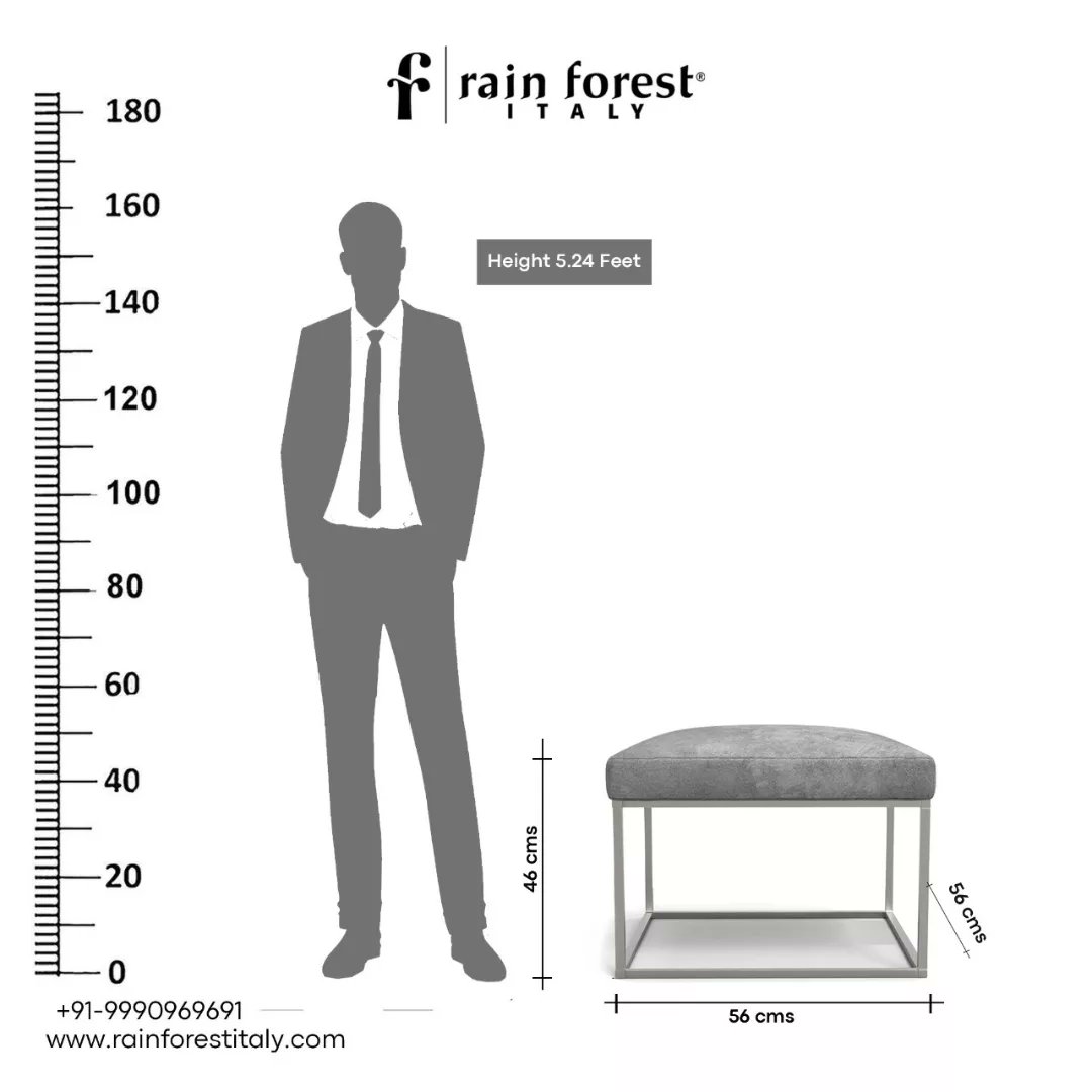 Rainforest Italy® (@rainforestitaly) / Posts / X