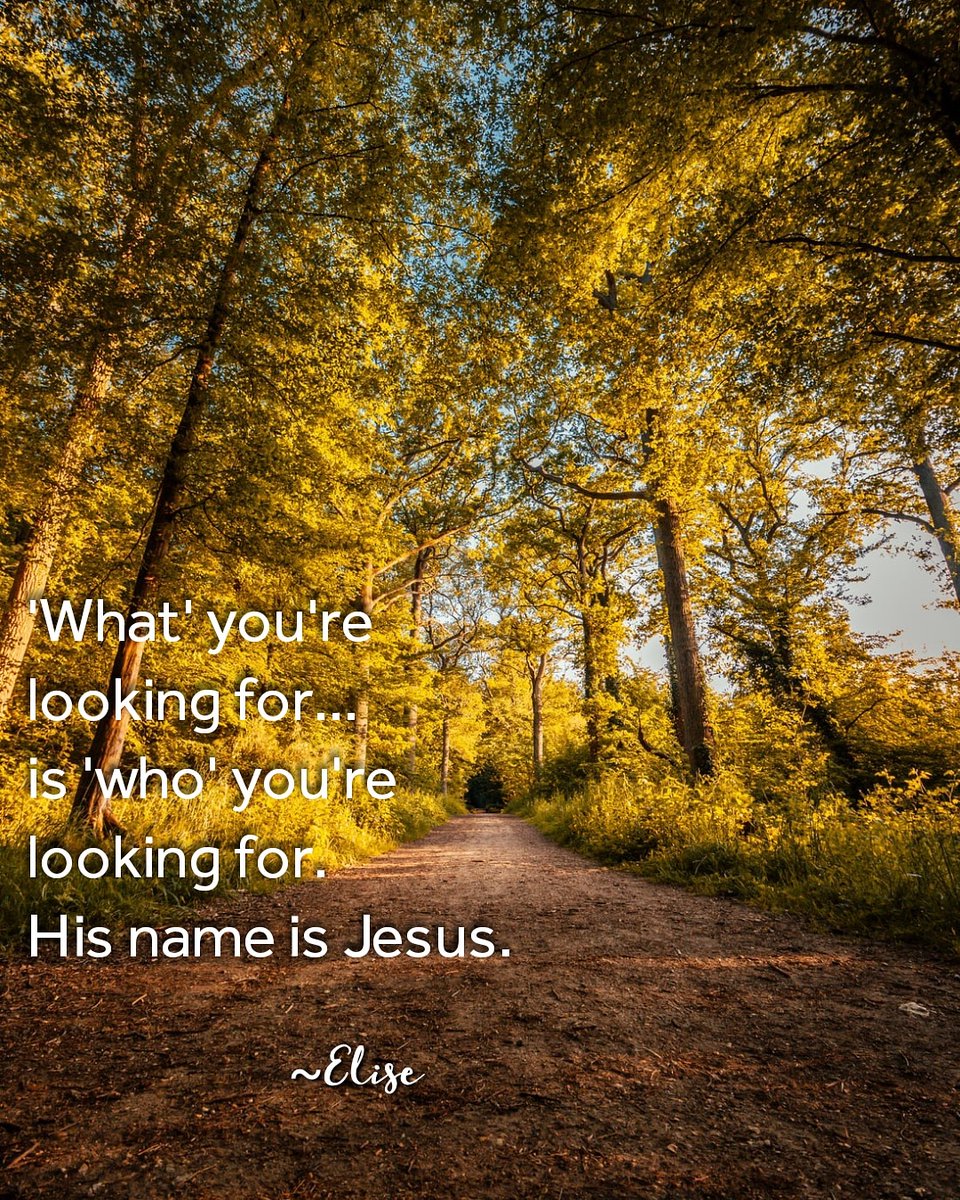 🌾laborer of Jesus (@elisemcdowell) on Twitter photo 