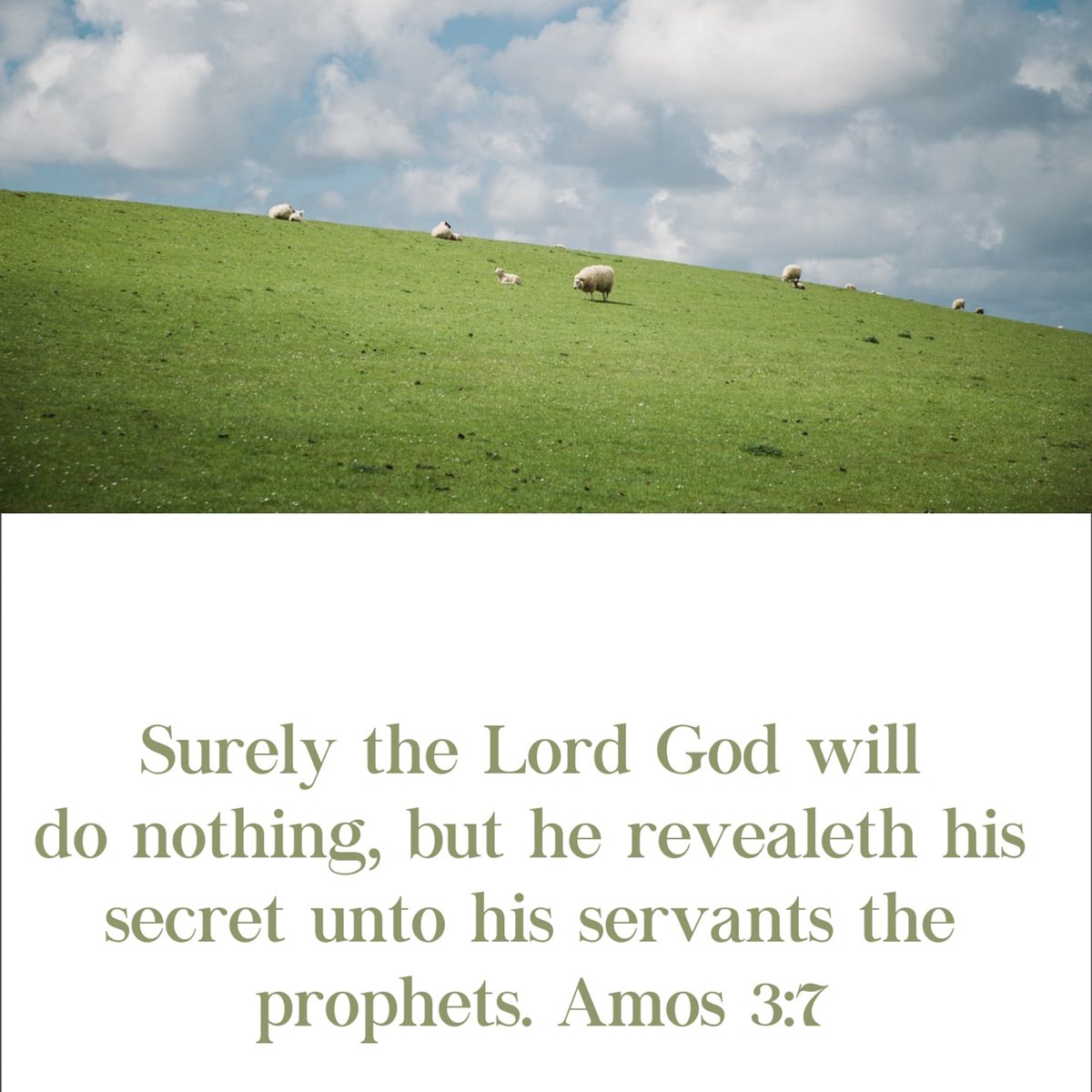 🌾laborer of Jesus (@elisemcdowell) on Twitter photo 