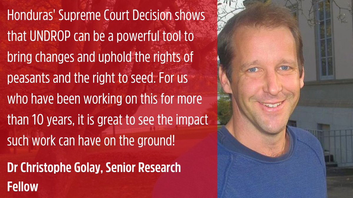 Geneva_Academy's tweet photo. #Honduras Supreme Court just declared the Law for Protection of Plant Varieties unconstitutional, a law that made it illegal to save, give away, or exchange #seeds.
In its ruling, the court notably relied on #UNDROP and the #righttoseeds.
Learn more: https://t.co/8oW7J3WZHT https://t.co/Oc2wIjs8sf
