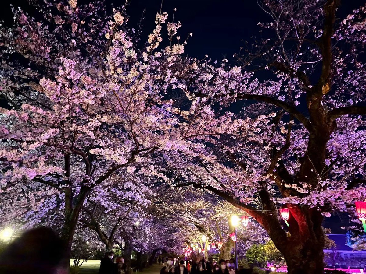 小田原城公園