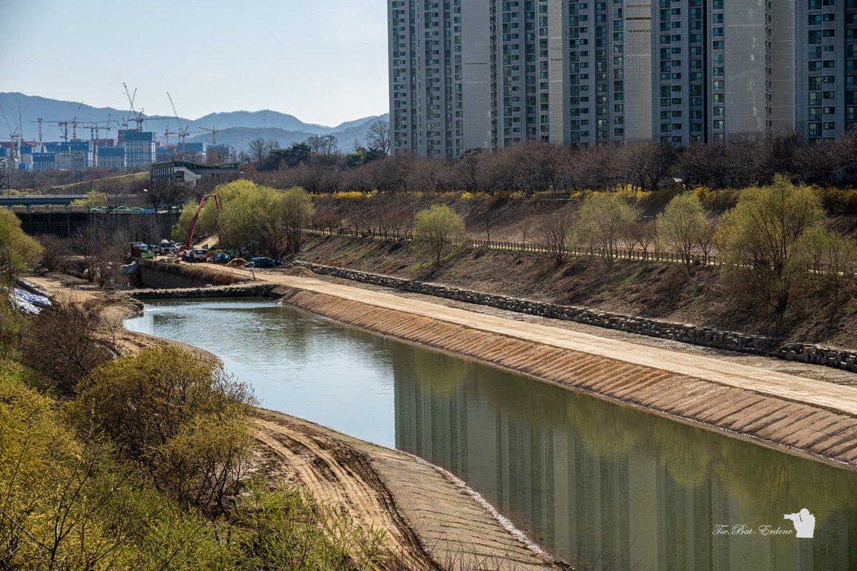 Голынх нь дээгүүр дугуйн, бас явган хүний зам, гоё парк байхад л тээр доогуур нь зэрэгцүүлээд дахиж зам засаад тохижуулаад байх юм, энэ нээрээ хэтэрхий дарга нартай юм аа, энэ Солонгос...