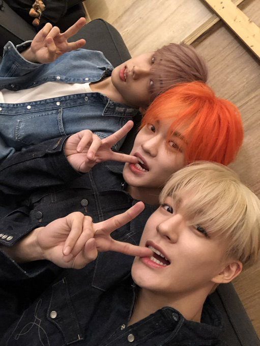 ˗ˏˋt w ♡ tweet media