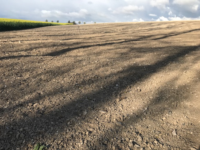 Stephane Vivien tweet media