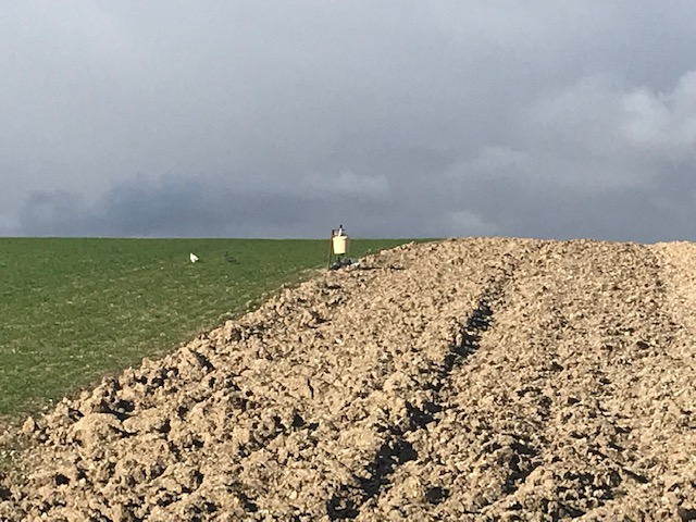 Stephane Vivien tweet media