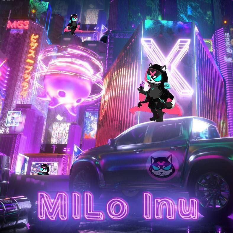 Tim84630340's tweet photo. #Milo Inu is first meme token based on cartoon animation theme, combined with NFT, gamefi, etc., only one month olds, #Milo has been lauched in #okx, #mexc, #hotbit, #bkex，#gateio etc.,  let's change the world together!Come on #Milo #MiloInu https://t.co/ylfPN0kjUF
