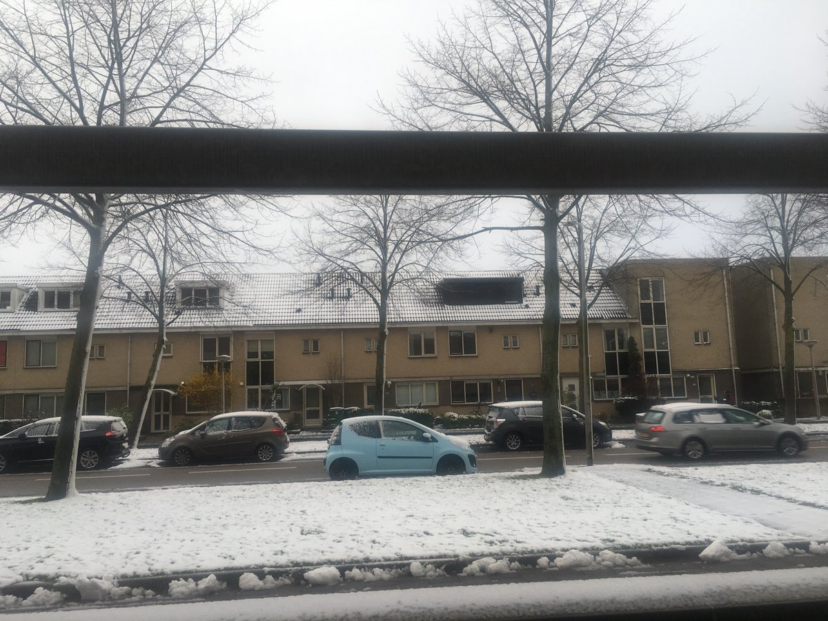 オランダは嘘みたいな天気です（ガチ）