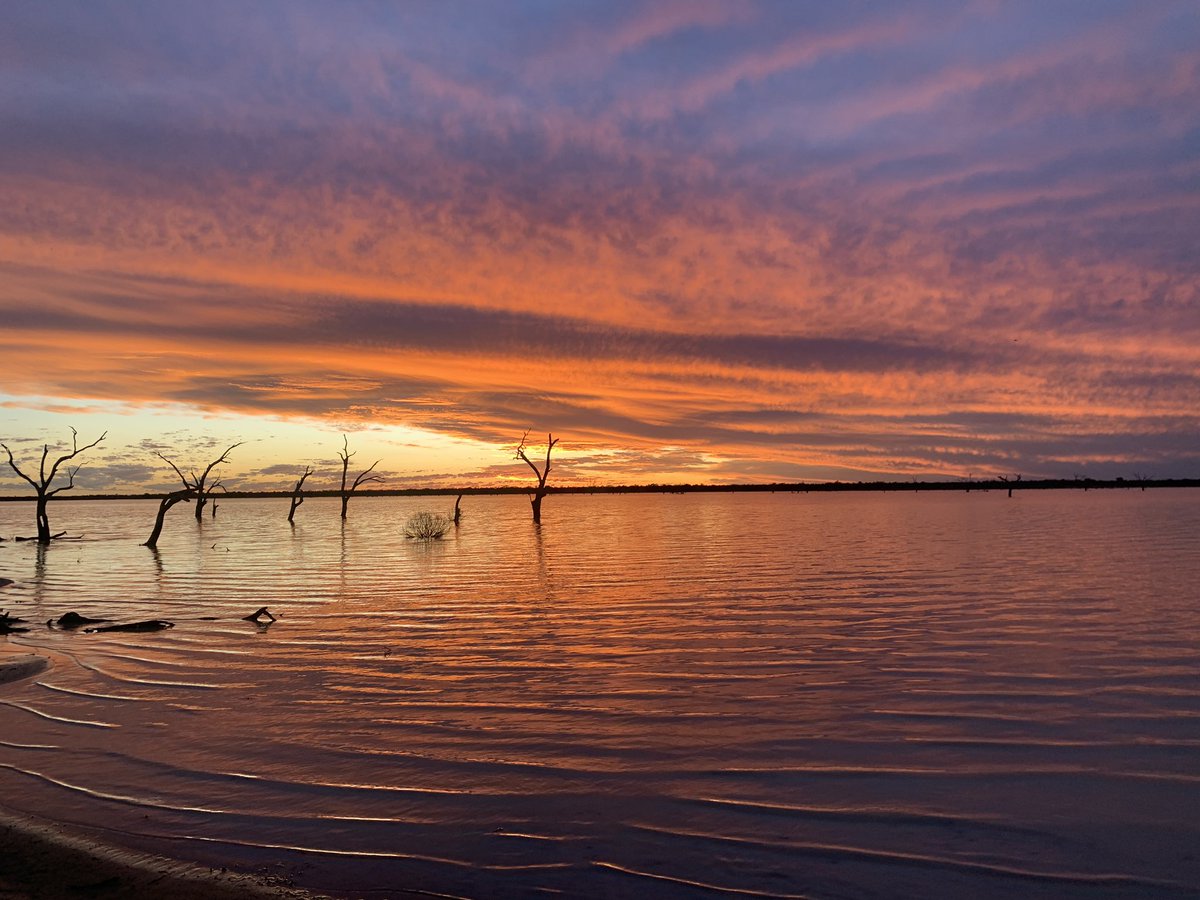 loveyou_leafyou's tweet photo. Highlight from recent fieldwork out at Wild Deserts in Sturt National Park was the sunsets and swims in Lake Pinaroo
Love all the places I get to see with ecology🥰 and never get tired of desert skies https://t.co/yc7Q4jU9Ms