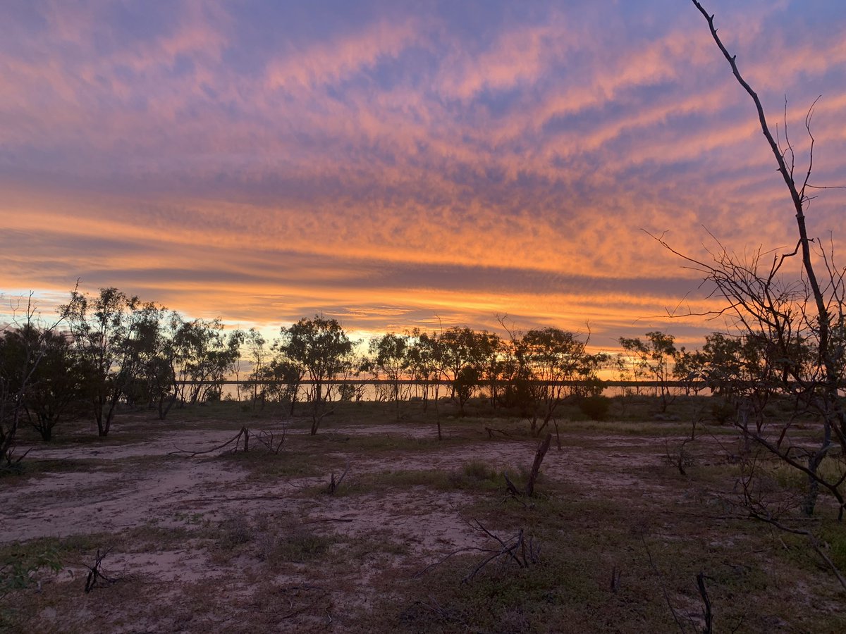 loveyou_leafyou's tweet photo. Highlight from recent fieldwork out at Wild Deserts in Sturt National Park was the sunsets and swims in Lake Pinaroo
Love all the places I get to see with ecology🥰 and never get tired of desert skies https://t.co/yc7Q4jU9Ms
