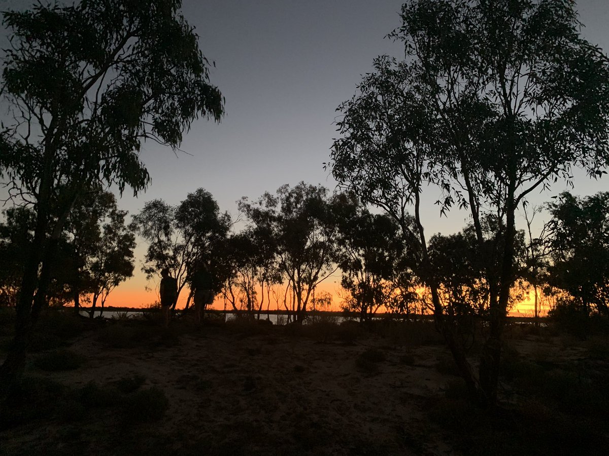 loveyou_leafyou's tweet photo. Highlight from recent fieldwork out at Wild Deserts in Sturt National Park was the sunsets and swims in Lake Pinaroo
Love all the places I get to see with ecology🥰 and never get tired of desert skies https://t.co/yc7Q4jU9Ms