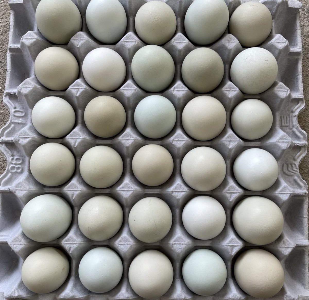 dalpumeun's tweet photo. 🥚청란판매합니다🥚

고소하고 맛있는 무항생제 유정란이 왔어요~
1판(30알) 18,000원, 배송비 별도 +3,500원
한번에 4판까지 배송 가능합니다.
깨질염려없고 안전한 에어팩 포장해서 발송 됩니다

주문수량/성함/연락처/주소를
DM(쪽지)✉또는 
문자010-7921-9757로 주시면 됩니다~^^ https://t.co/AcLEMtWoLz