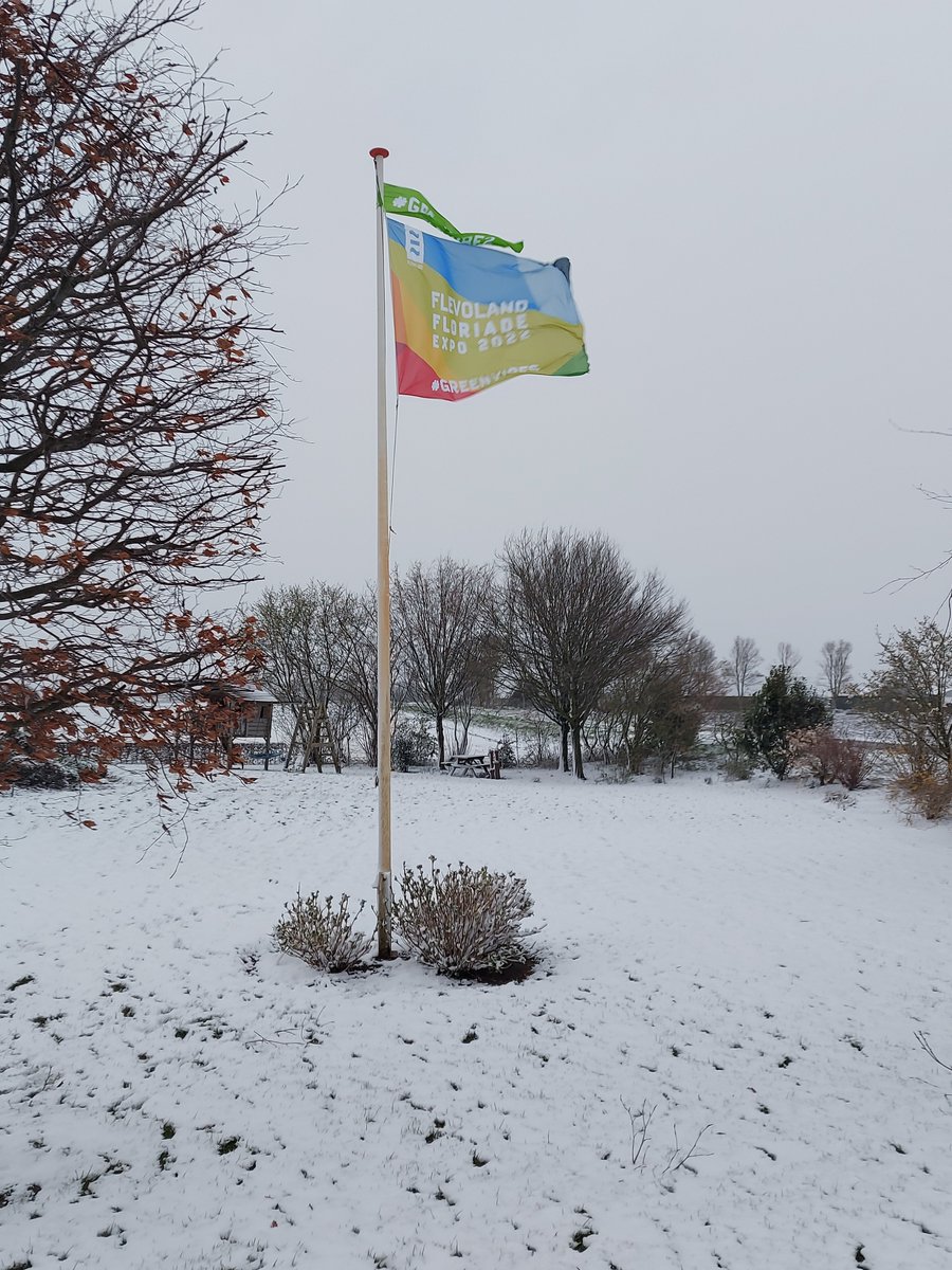 #greenvibes in the snow. #visitflevoland #Floriade #bedbreakfastDeKandelaar