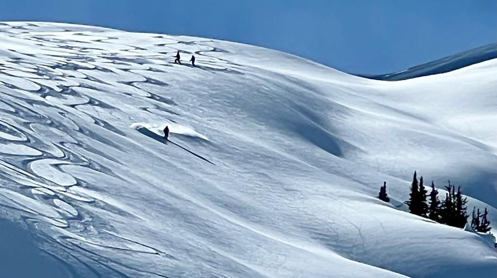 doyoupowderclub's tweet photo. After downday Wednesday our Gurus enjoyed premium conditions @LastFrontHeli Bell II area. About 12600 meter vertical in 19 runs for them. Record with 19500 meter vertical by LFH-guide Hannes and guests from🇨🇭!
🚁⛷
@BergmannEmil 
@powdersnow_24 https://t.co/PxWQHXT7SO
