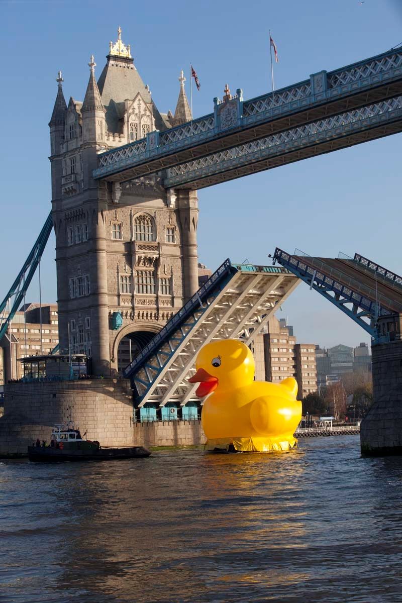 mightyduckuk's tweet photo. If you're in London today, keep an eye out for our latest ad campaign floating down the Thames. 🐤🏞🇬🇧

#advertising #riverthames #londonlife https://t.co/sCYB69SqhF