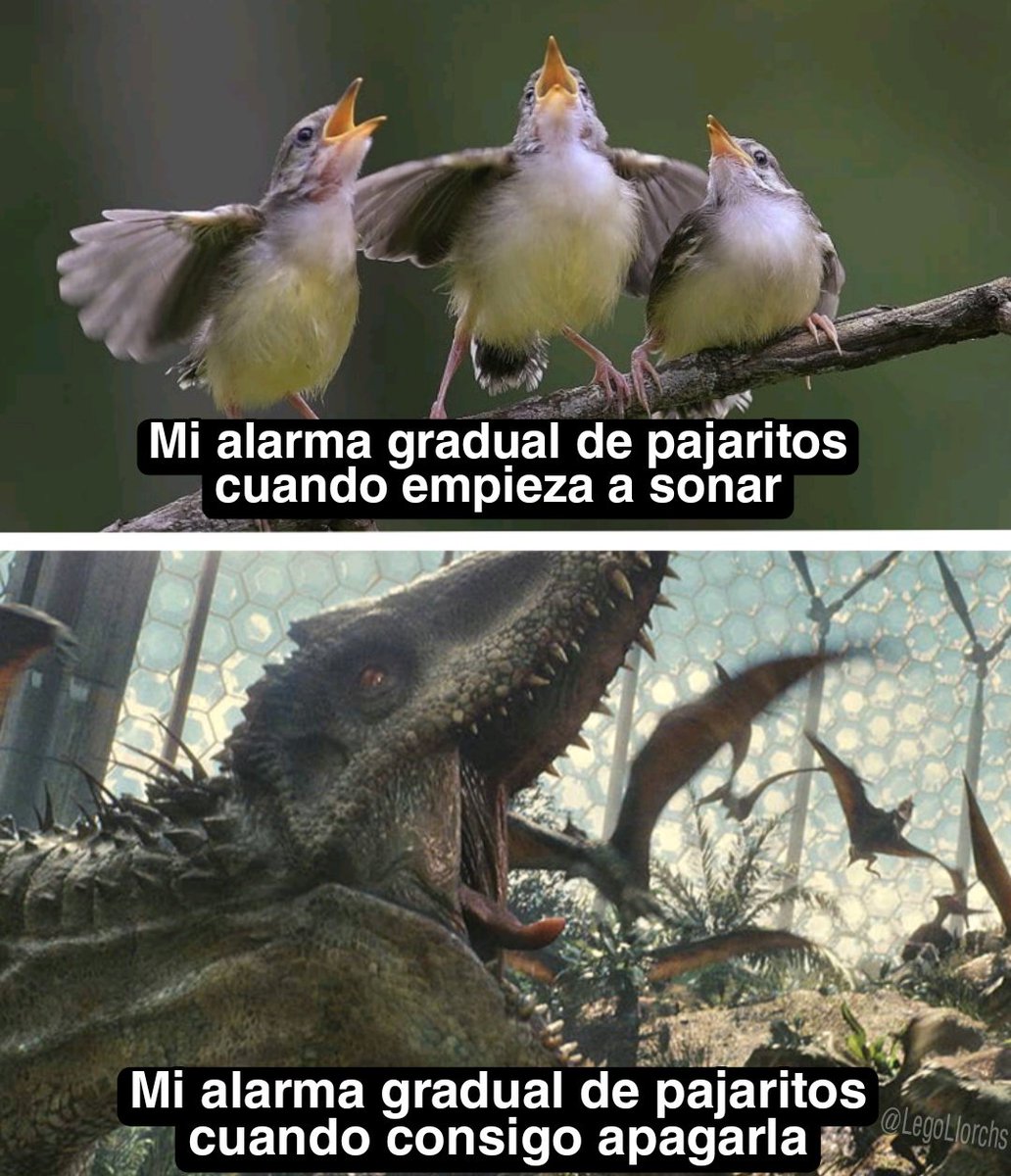 Y así cada mañana...
