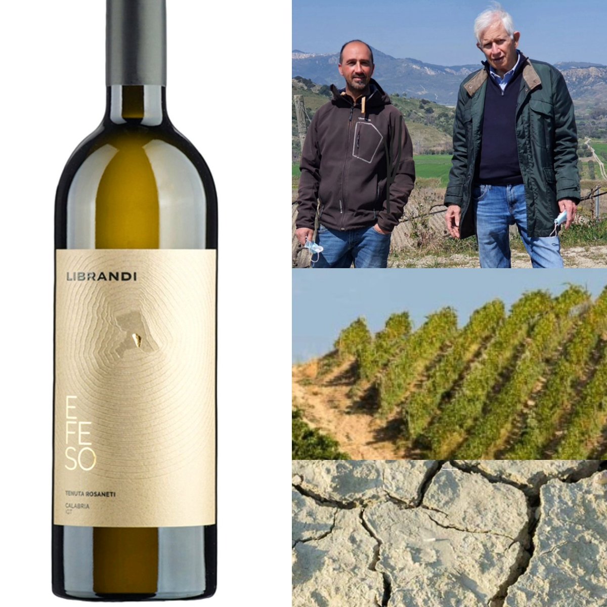 Dal millenario vitigno #mantonico il calice d’oro lucido dell' #Efeso #Librandi
Un gioiello enologico con nuances di frutti gialli e rincalzi floreali, #ginestra #sambuco
Stuzzica il palato con pennellate sapide e agrumate che affiorano nel lungo finale

#Calabria
#DonatoLanati