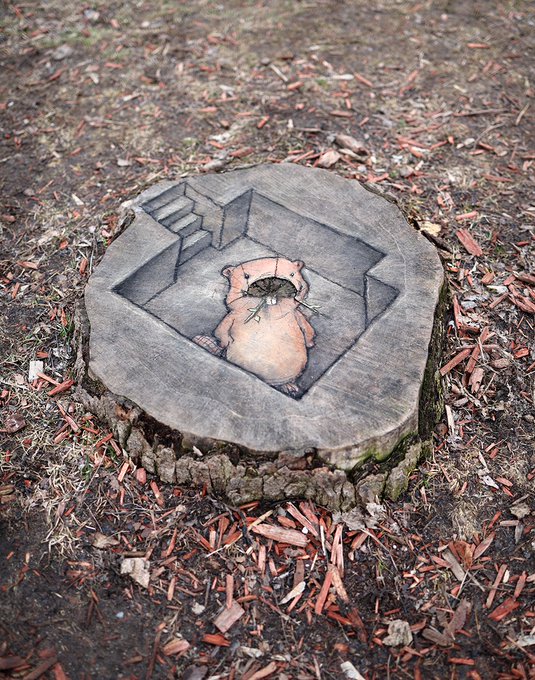 HomesAtMetacoda's tweet photo. Stumped by a pit!
Fabulous #creativity & #imagination.
#davidzinn #art #treestump
RT @davidzinn_art
Simon specializes in conversation pits and/or swimming pools depending on how much it rains. #StreetArt #ChalkArt #OffTheSidewalk #Beaver #Woodworking #Pareidolia #NeverStumped https://t.co/DVqbT3vkEs