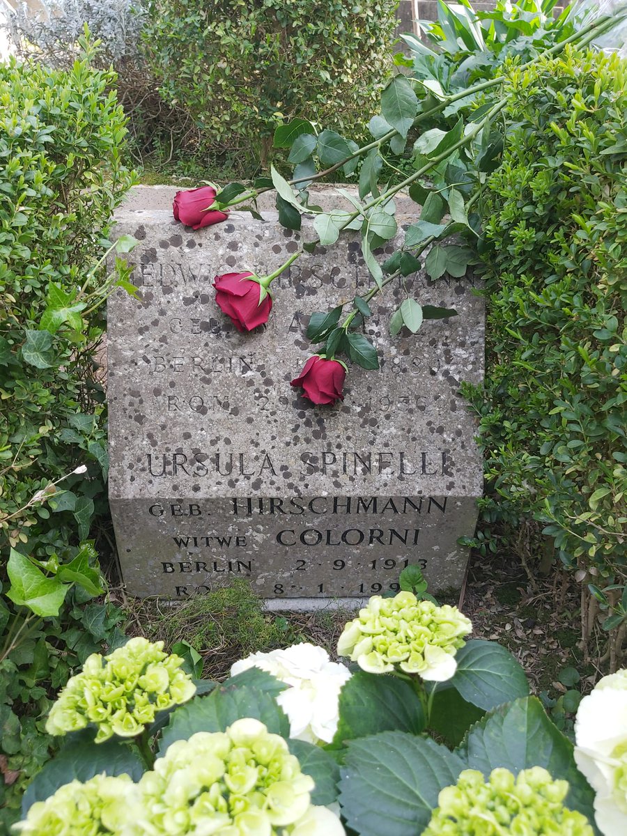 Minerva_Lab_Sapienza tweet media