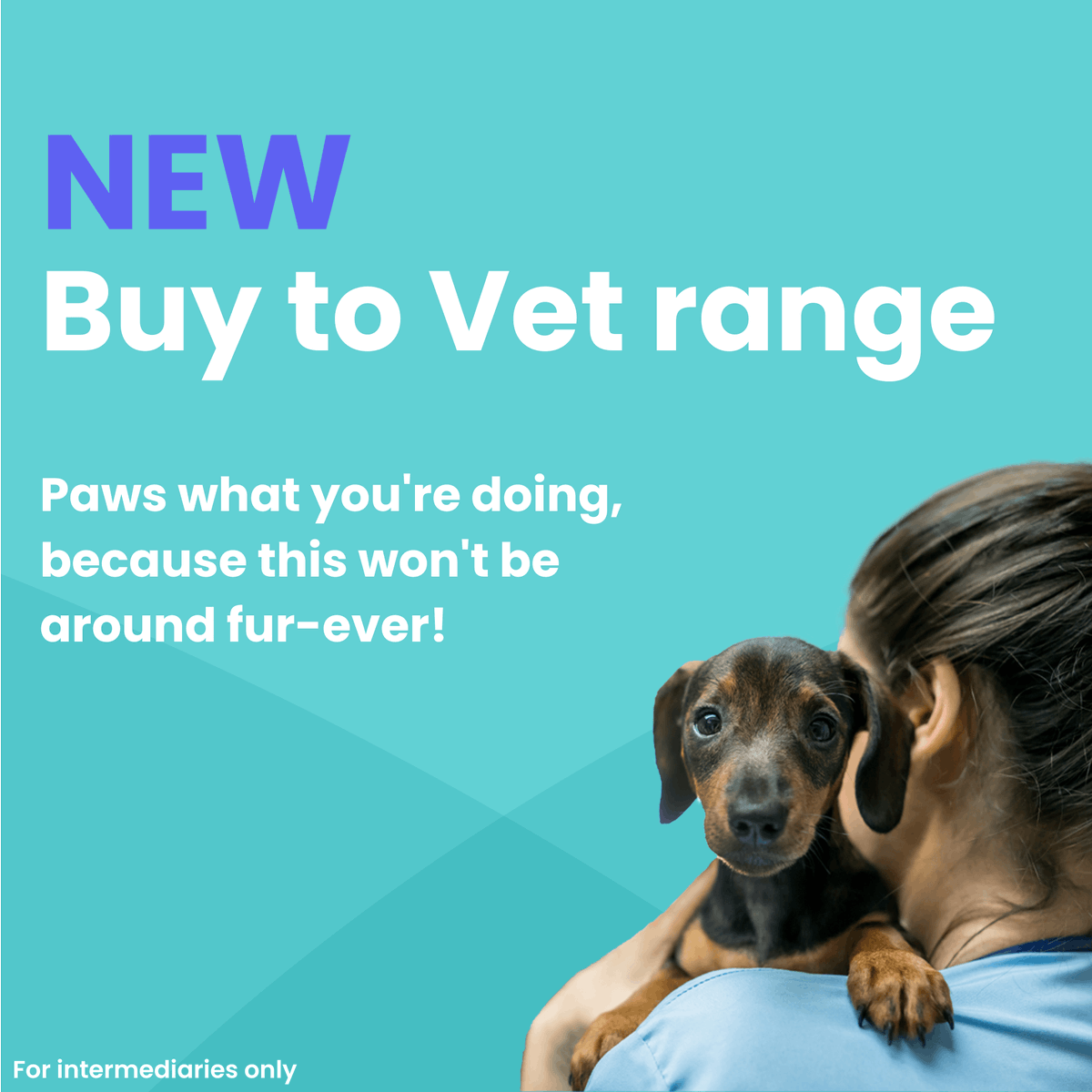 VidaHomeloans's tweet photo. You’d be barking mad to miss this…
Following feedback from a number of mortgage brokers, we have now launched our new, Buy to Vet range of products!*
Keen to know more? Then fetch more info here! –https://t.co/86z7XcPOZW
#BuytoVet #Getlifemoving https://t.co/zy5lj3WNY6