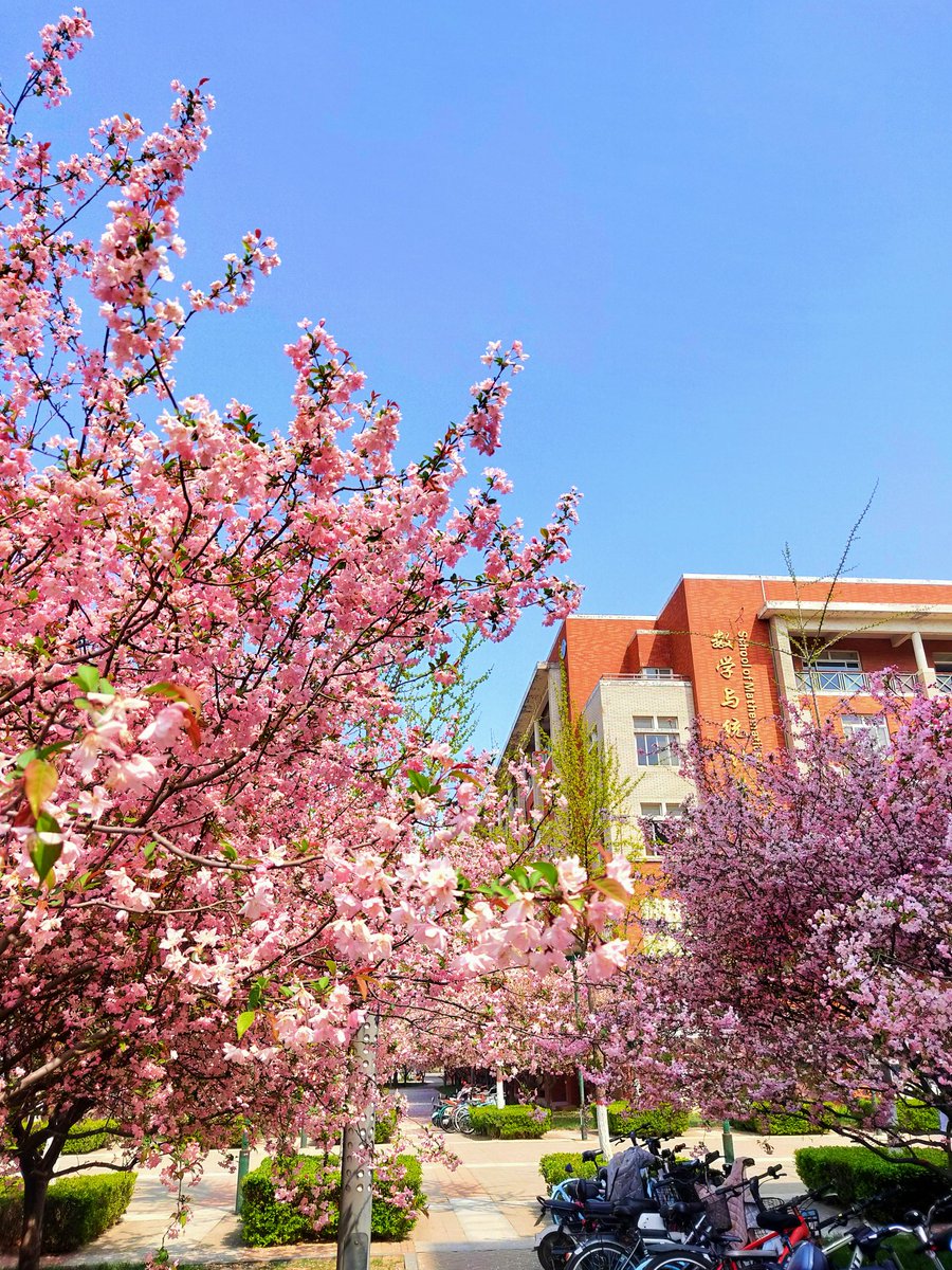 junaidwahid007's tweet image. Come out after finalising the dissertation submission, see what i found, bright sunny day, which is rare these days in zhengzhou.❤🌸
#phdlife #springvibes #refreshmind #zhengzhou #china