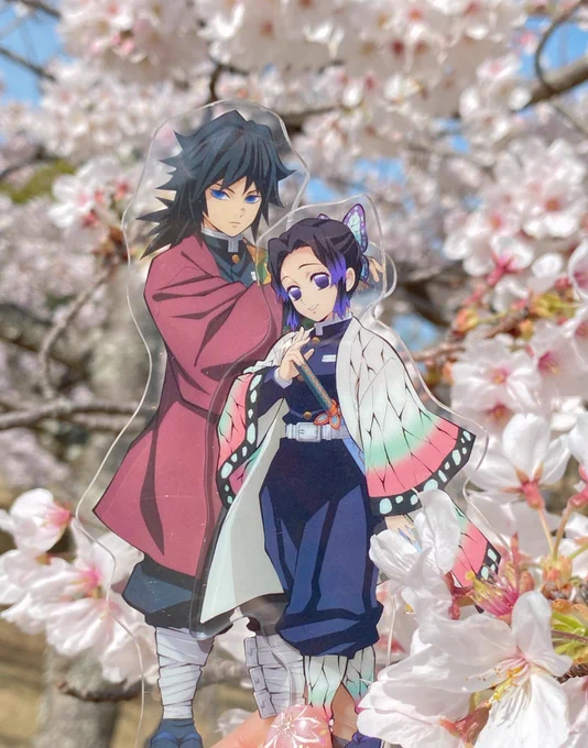 🌸春のぎゆしの🌸 