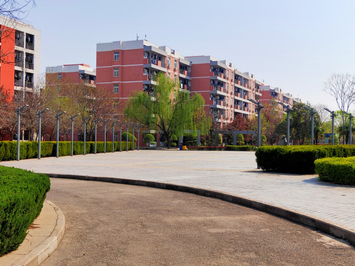 junaidwahid007's tweet image. Come out after finalising the dissertation submission, see what i found, bright sunny day, which is rare these days in zhengzhou.❤🌸
#phdlife #springvibes #refreshmind #zhengzhou #china