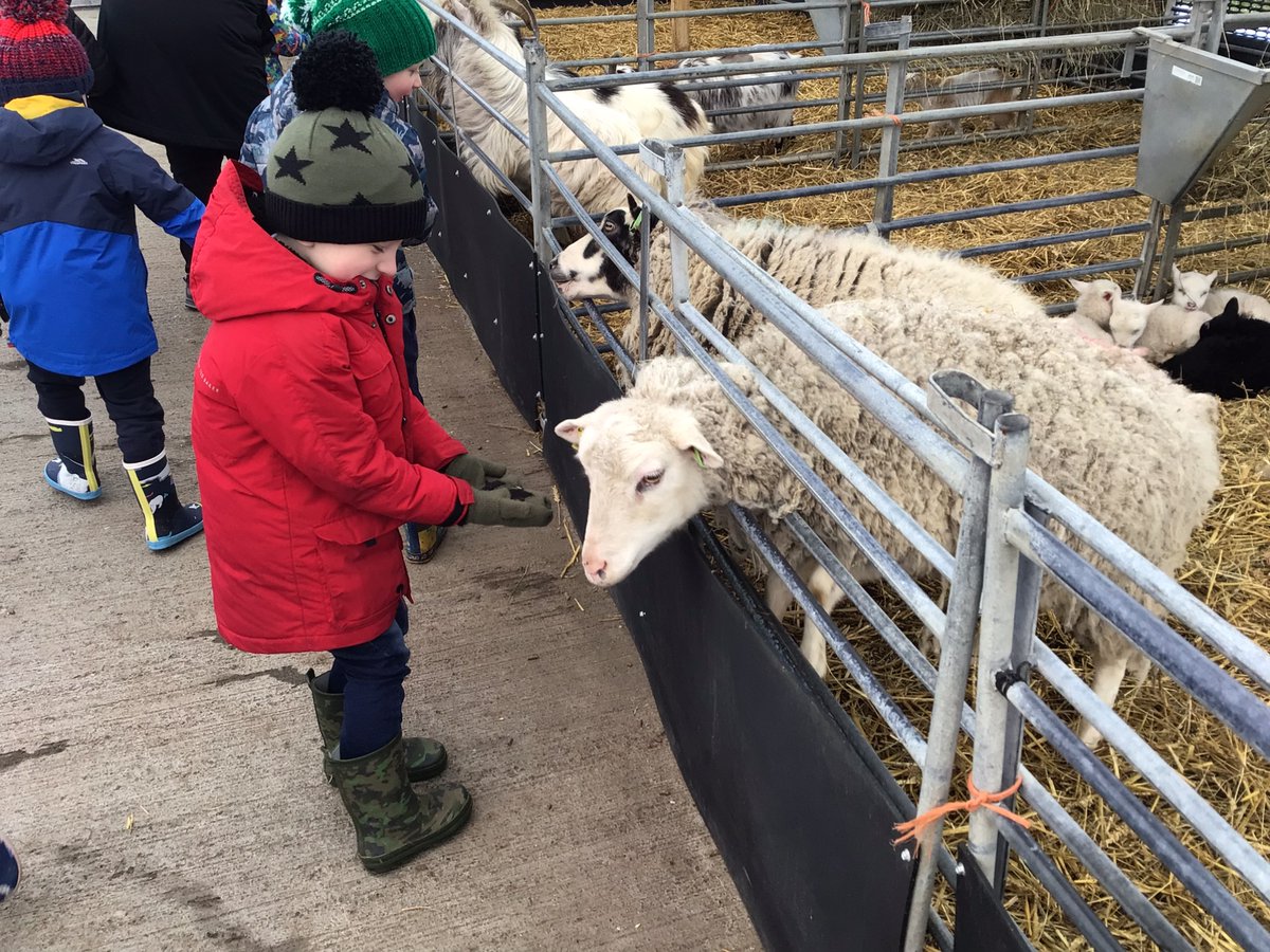 BlueClassBEFS's tweet photo. We had a fantastic day at Hall Hill Farm ! We learnt lots about springtime at the farm!🐣 Thank you to the parent helpers for looking after us so well. We most definitely had a very exciting day ! 🐰🐣 Well done Reception, you were all superstars! 🌟 https://t.co/ZIP07V3K78