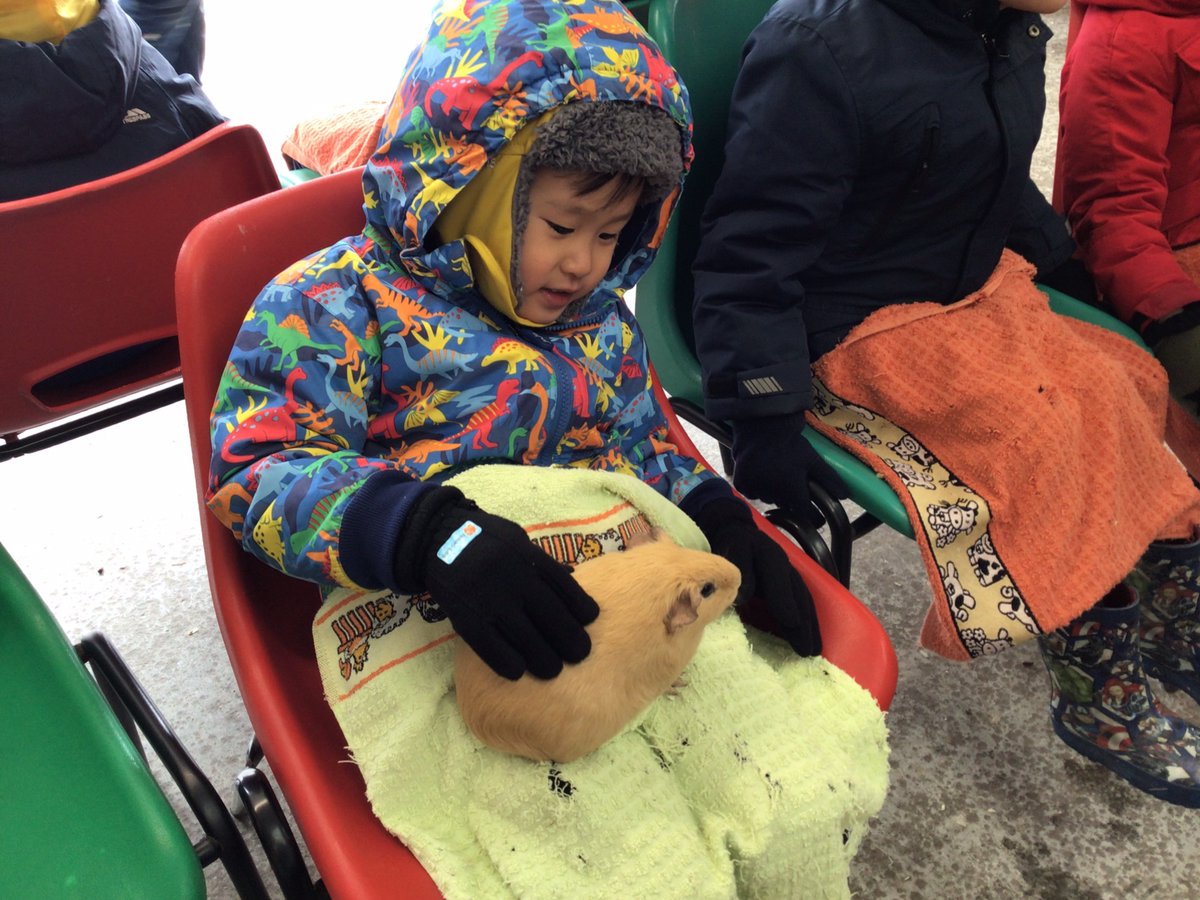 BlueClassBEFS's tweet photo. We had a fantastic day at Hall Hill Farm ! We learnt lots about springtime at the farm!🐣 Thank you to the parent helpers for looking after us so well. We most definitely had a very exciting day ! 🐰🐣 Well done Reception, you were all superstars! 🌟 https://t.co/ZIP07V3K78