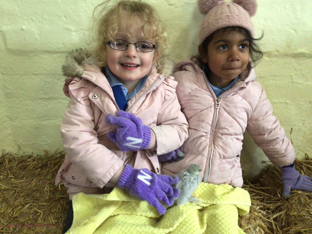 BlueClassBEFS's tweet photo. We had a fantastic day at Hall Hill Farm ! We learnt lots about springtime at the farm!🐣 Thank you to the parent helpers for looking after us so well. We most definitely had a very exciting day ! 🐰🐣 Well done Reception, you were all superstars! 🌟 https://t.co/ZIP07V3K78
