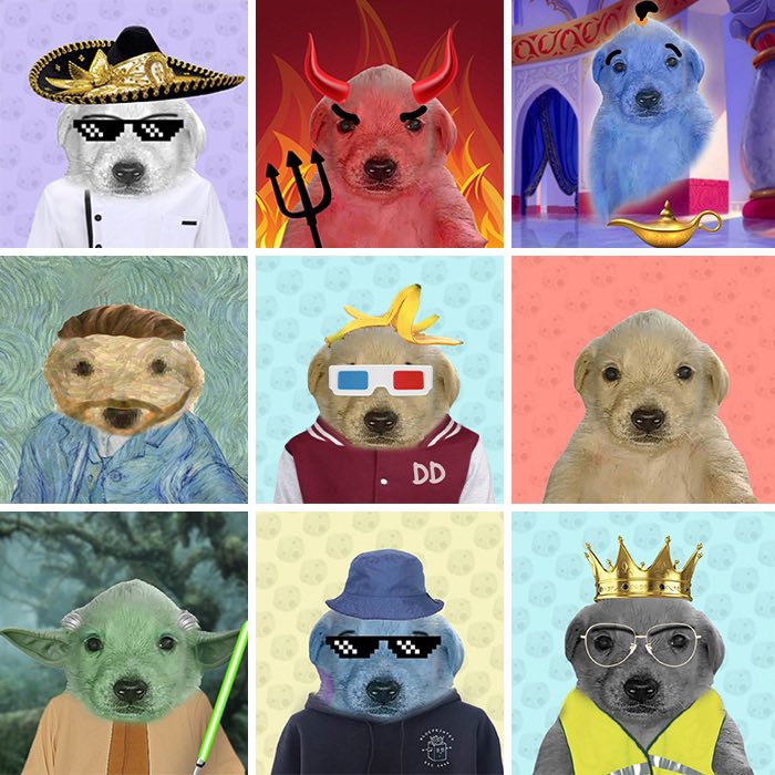 It’s #AprilFoolsDay! 

Our life might be a joke, but the Doggos are not! 🤪 

Donating to dog shelters in #Ukraine is our top priority. Join us on April 11th. 

#NFT #Nfts #nftcommunity #willsmith #nftgiveaway #aprilfools #nftart