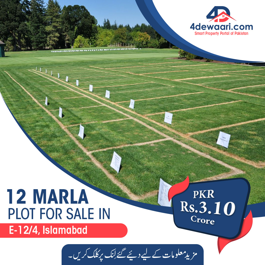 4Dewaari's tweet image. Developed 12 Marla Plot Available for sale in E-12/4 Islamabad

For More Details:
Call Us On: (051)2745652
OR
Visit Our Website: 4dewaari.com/property/devel…

#12marla #12marlaplot #cornorplot #E12 #islamabad #zameen #buynsell #olx #4dewaari