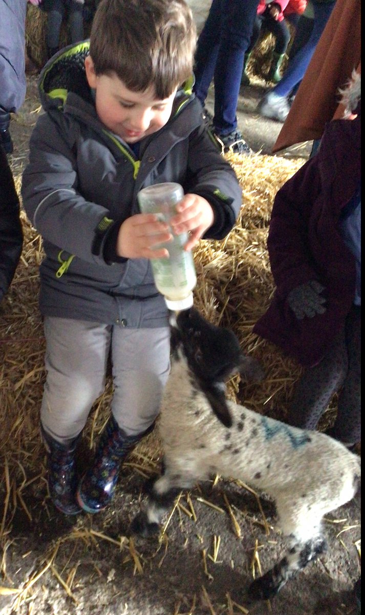 BlueClassBEFS's tweet photo. We loved helping out by feeding the baby lambs! 🐑 https://t.co/PaEqwN8tt7