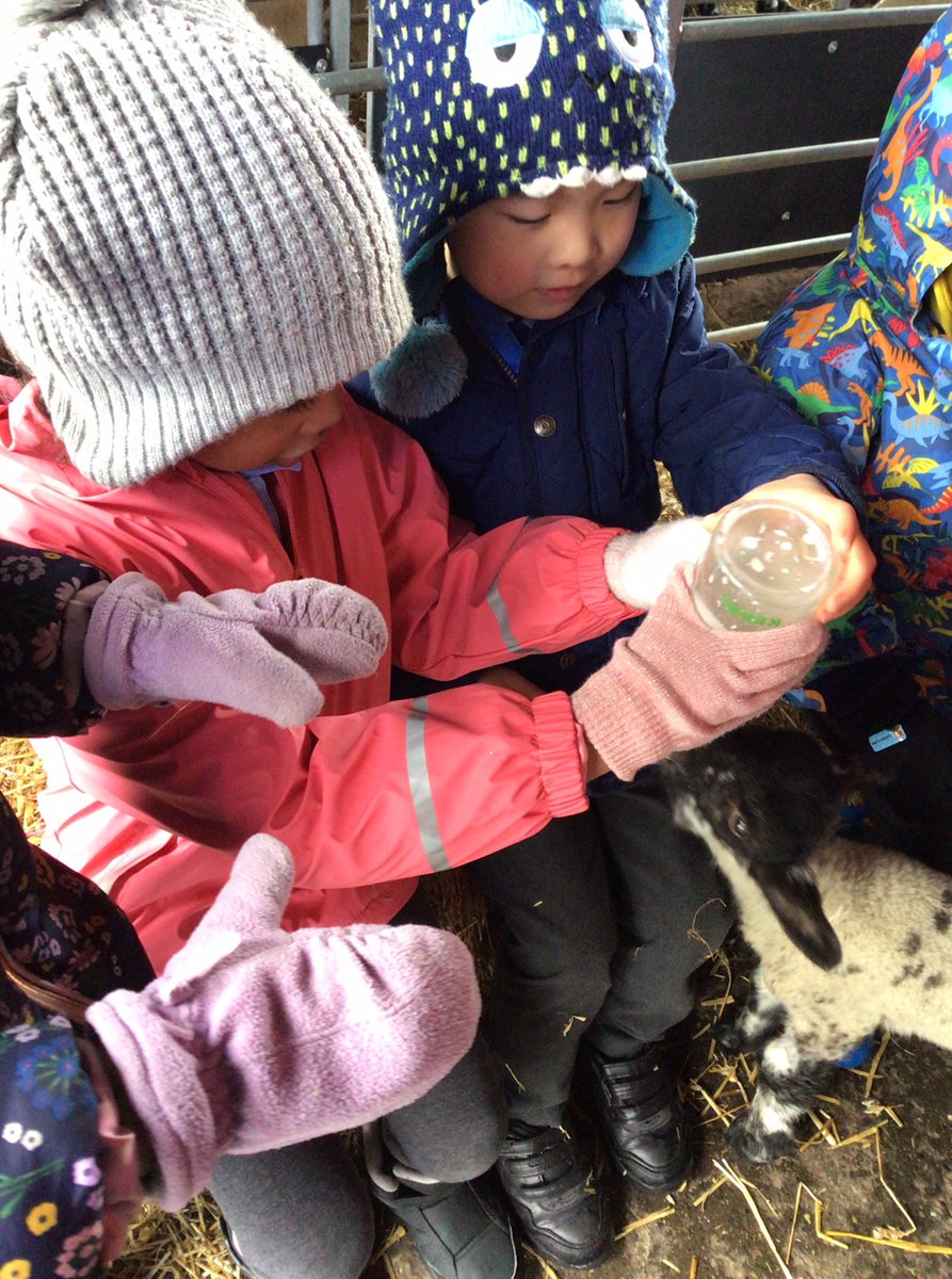 BlueClassBEFS's tweet photo. We loved helping out by feeding the baby lambs! 🐑 https://t.co/PaEqwN8tt7
